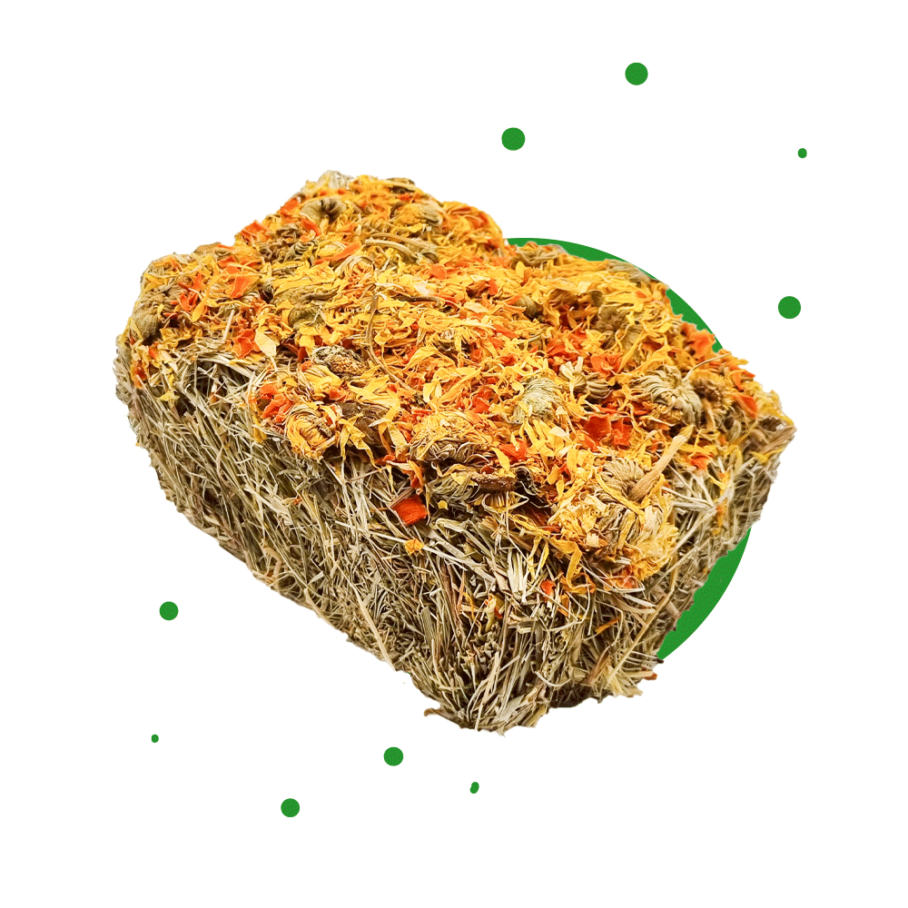 Heuschnitte