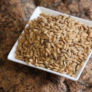 Paddy-Reis