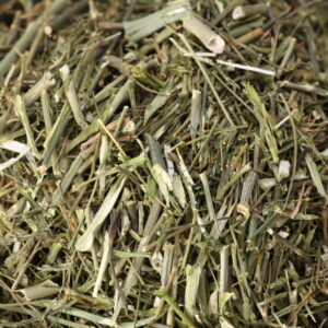 Dillstiele