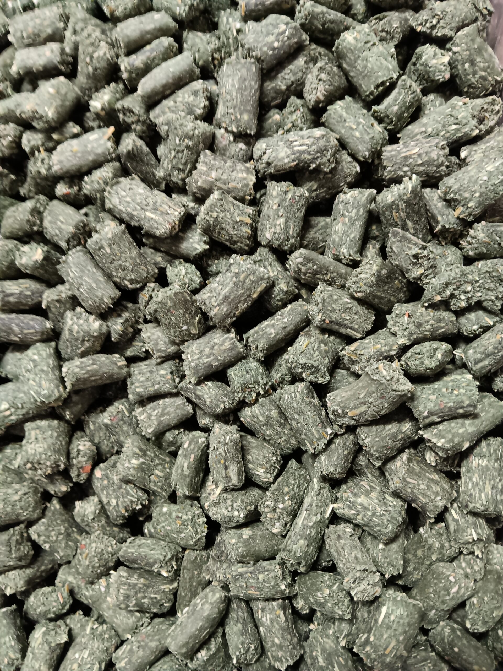 Kumpelglück Hundesnack Spirulina 200g – Bild 3